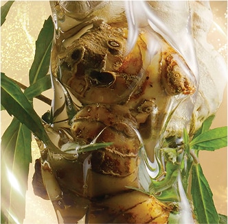 Shop body care products